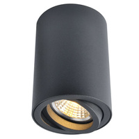 Точечный светильник Arte Lamp A1560PL-1BK SENTRY