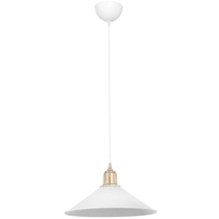 Светильник Toplight TL1606H-01WH Delilah
